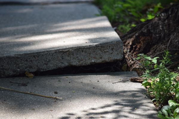 Sidewalk Leveling in Herndon